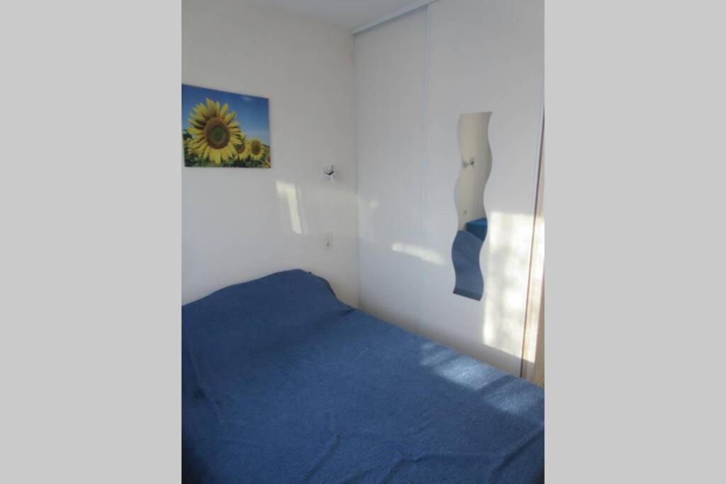 Apt Climatise T3 Saint Pierre La Mer, Terrasse, Jardin Et Parking Prive Fleury  Luaran gambar